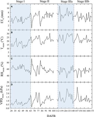 Fruit and Leaf Sensing for Continuous Detection of Nectarine Water Status